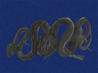 藏品(赤尾青竹絲)的圖片